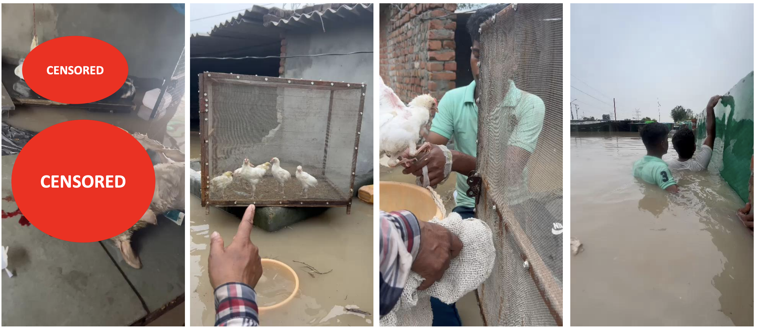 Screenshot 2025-10-18 at 6.43.45 PM