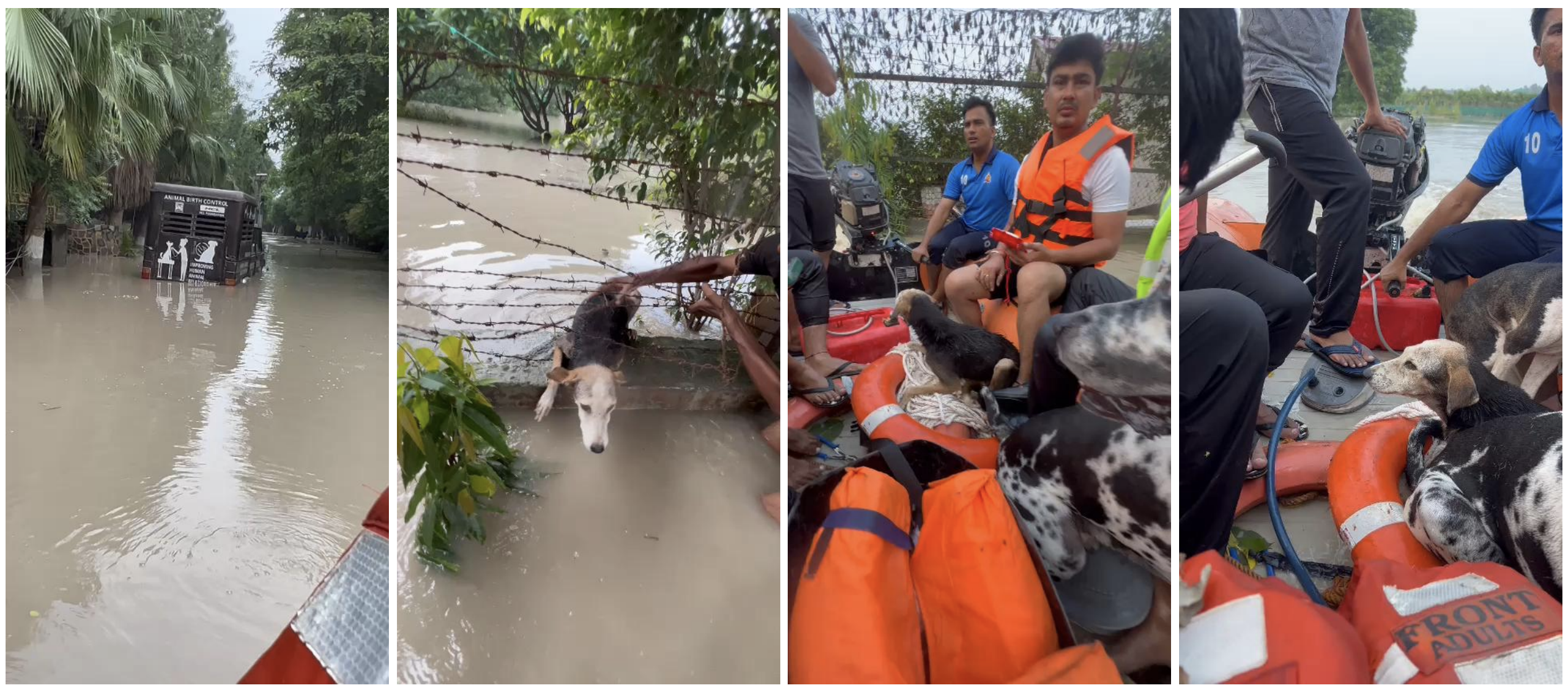 Screenshot 2025-10-18 at 6.44.22 PM