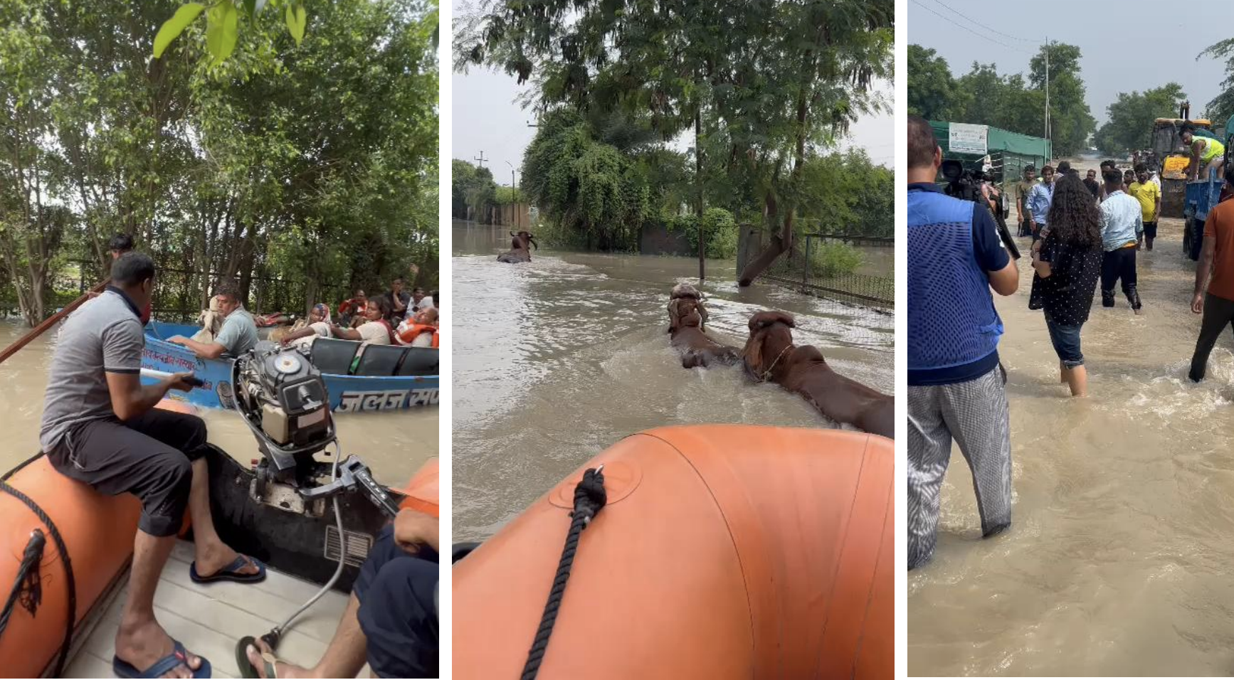 Yamuna Floods Rescue